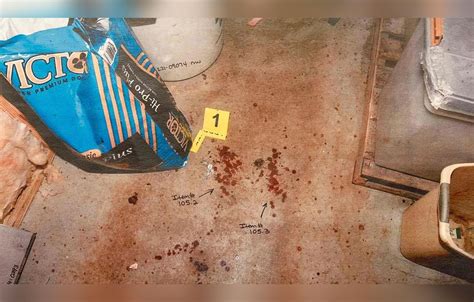 alex murdaugh crime scene photographs|Alex Murdaugh trial: Autopsy photos shown, and witnesses paint。